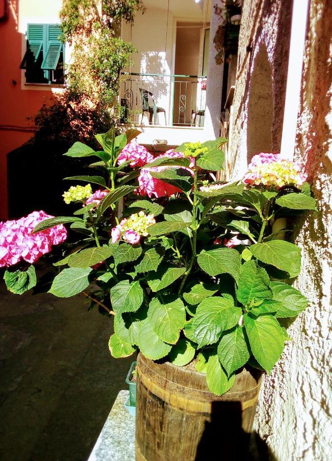 Casa La Quiete Apartment Orco Feglino Luaran gambar